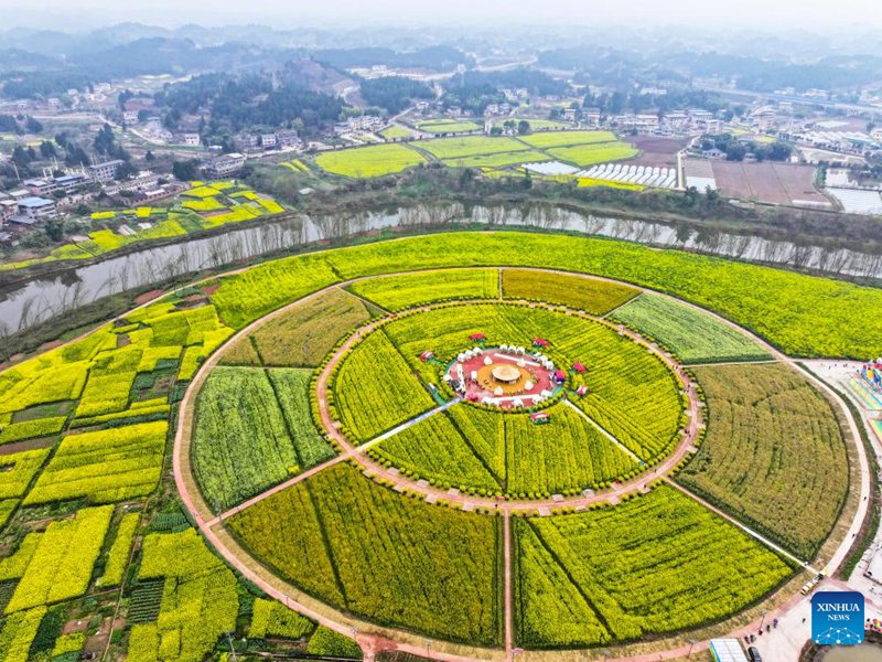 Mandhari ya mashamba ya mimea ya rapa huko Chongqing, Kusini Magharibi mwa China