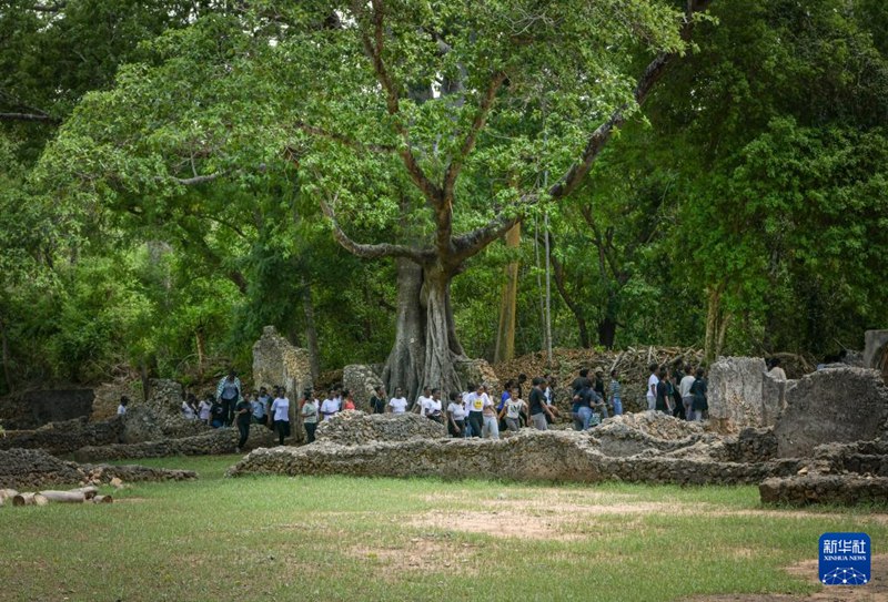 Magofu ya Mji wa Kale wa Gedi nchini Kenya Yaorodheshwa kwenye Orodha ya Mali ya Urithi wa Dunia ya UNESCO